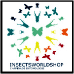 InsectsWorldShop