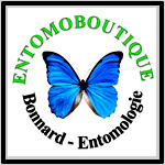 EntomoBoutique